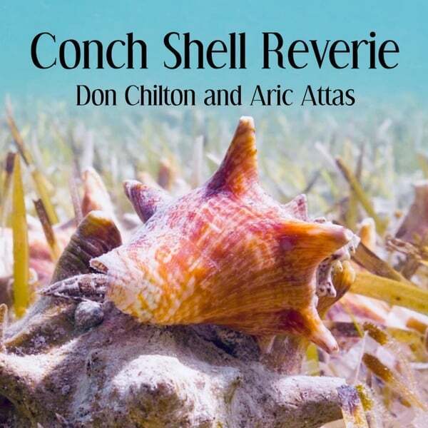 Play track, Conch Shell Reverie. Length: 10:22 Cover art for Conch Shell Reverie